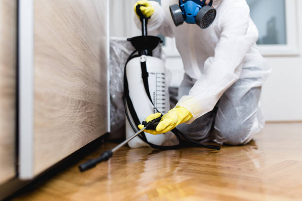 Best Pest Removal Services  in Dimmitt, TX