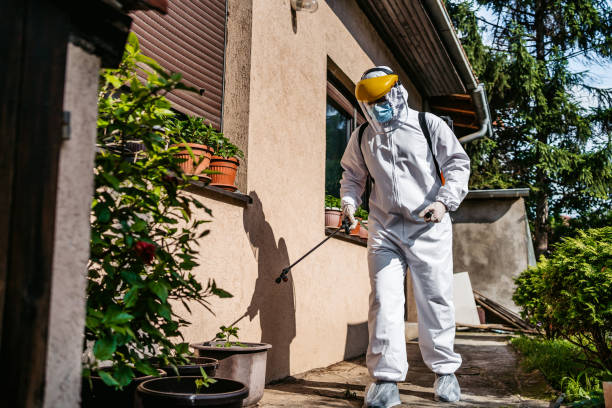 Best Pest Prevention Services  in Dimmitt, TX