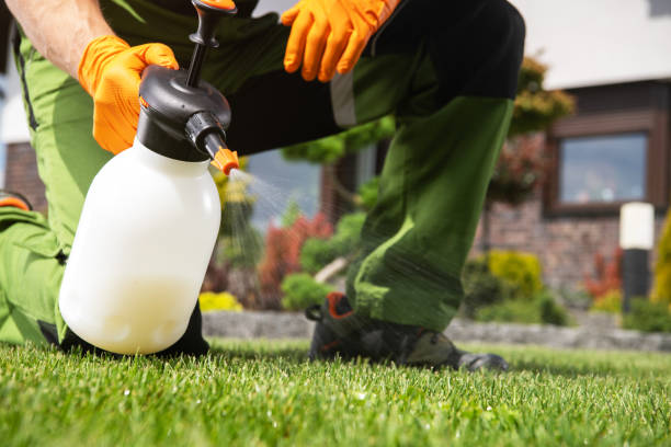 Best Residential Pest Control  in Dimmitt, TX