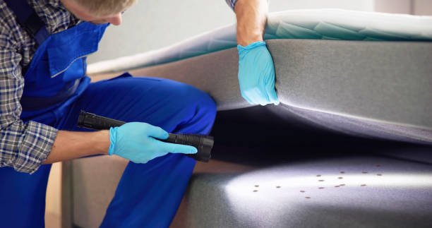 Best Mosquito Control Services  in Dimmitt, TX