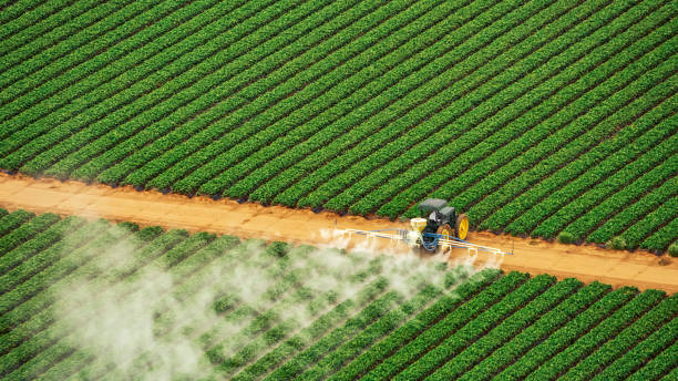  Dimmitt, TX Pest Control Pros